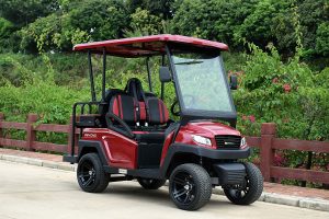 Bintelli Beyond 4PR Street Legal Golf Cart - Aluminum Frame